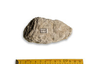 F 09779
<br/>
<br/>
<em></em>